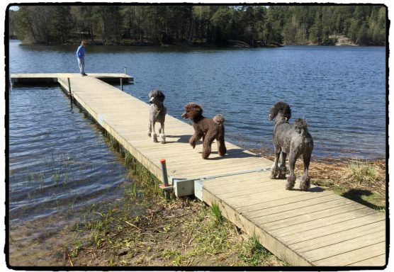 Azlan & Gimli Azlan & Gimli