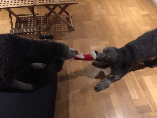 Tomten är rökt Tomten är rökt