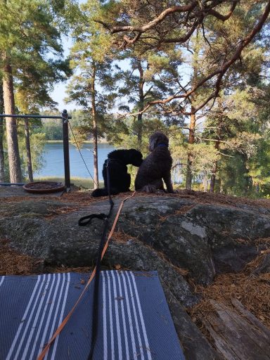 Lungt hemma Lungt hemma